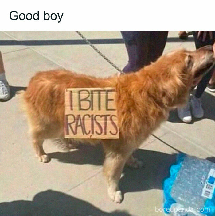 121 Wildly Funny Posts That’ll Totally Brighten Your Day