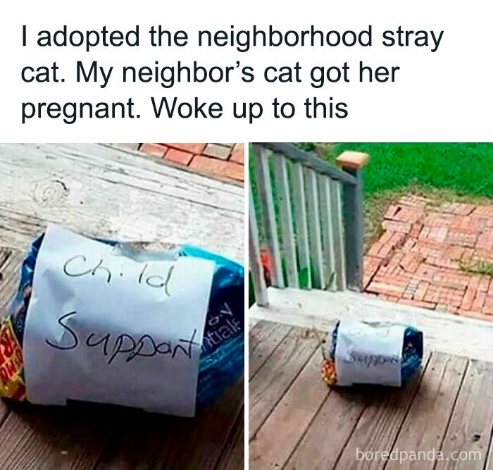 121 Wildly Funny Posts That’ll Totally Brighten Your Day
