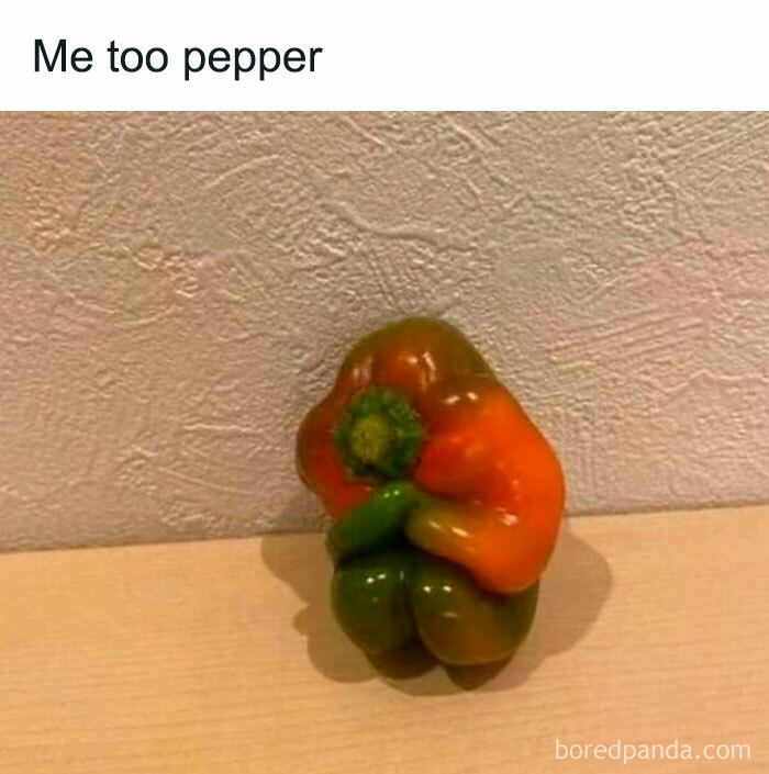 121 Wildly Funny Posts That’ll Totally Brighten Your Day