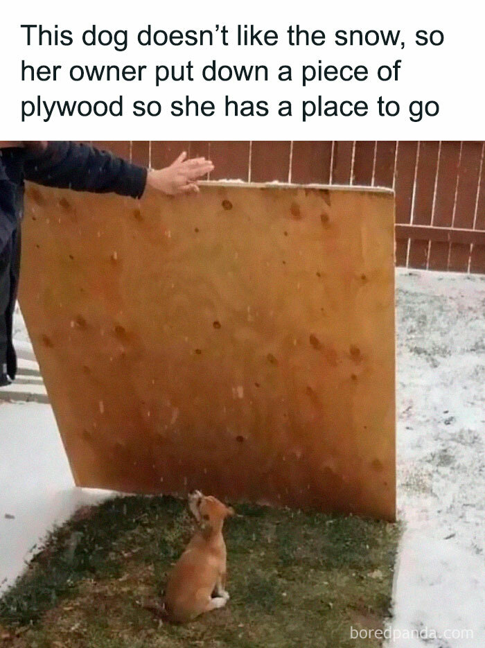 121 Wildly Funny Posts That’ll Totally Brighten Your Day