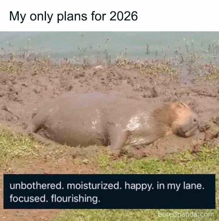 121 Wildly Funny Posts That’ll Totally Brighten Your Day