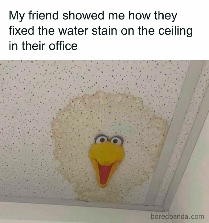 121 Wildly Funny Posts That’ll Totally Brighten Your Day
