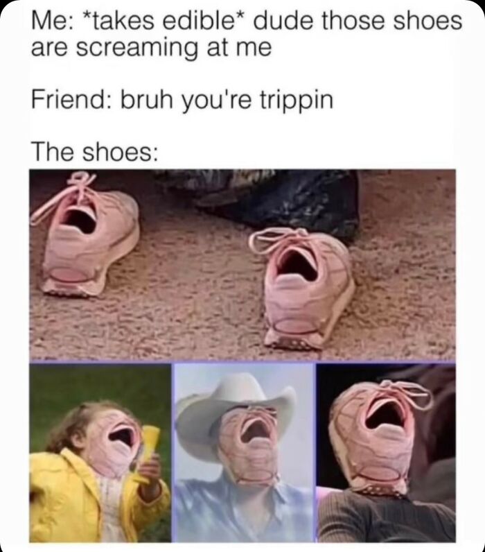 121 Wildly Funny Posts That’ll Totally Brighten Your Day
