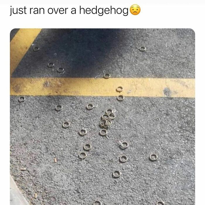 121 Wildly Funny Posts That’ll Totally Brighten Your Day