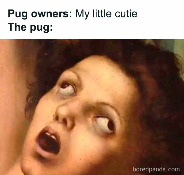121 Wildly Funny Posts That’ll Totally Brighten Your Day