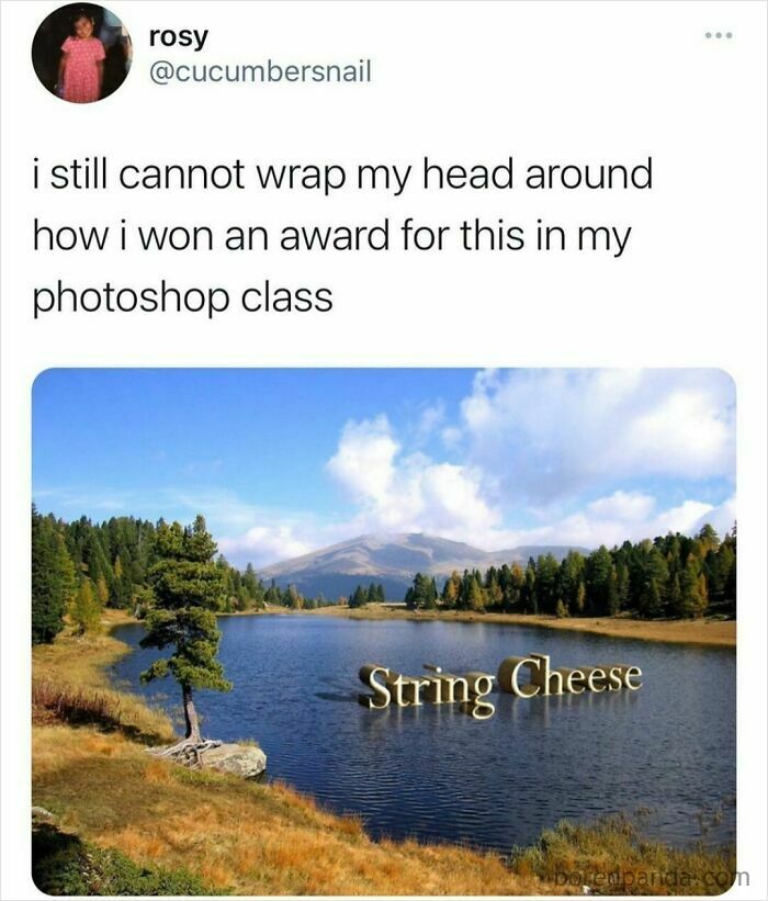 121 Wildly Funny Posts That’ll Totally Brighten Your Day