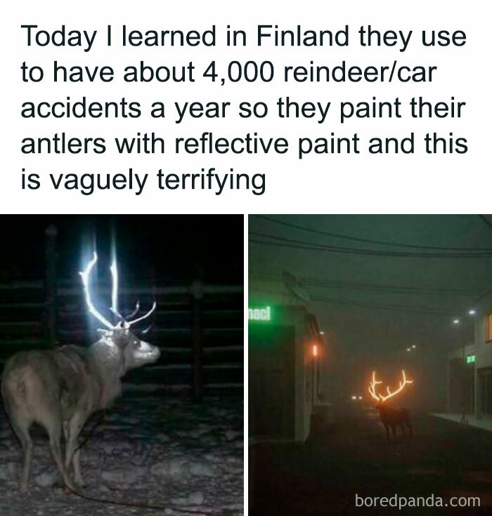121 Wildly Funny Posts That’ll Totally Brighten Your Day