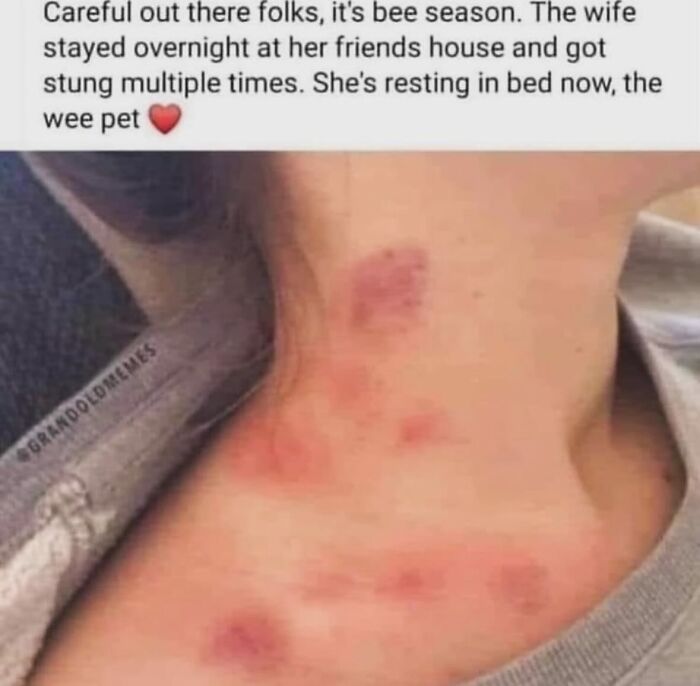 121 Wildly Funny Posts That’ll Totally Brighten Your Day