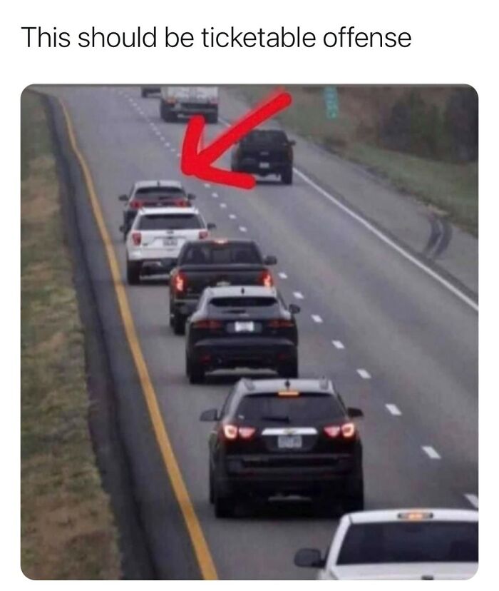 121 Wildly Funny Posts That’ll Totally Brighten Your Day