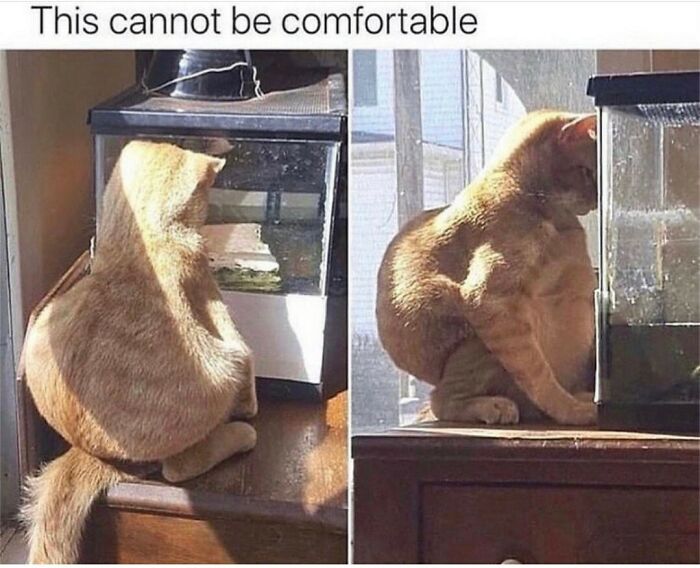 121 Wildly Funny Posts That’ll Totally Brighten Your Day