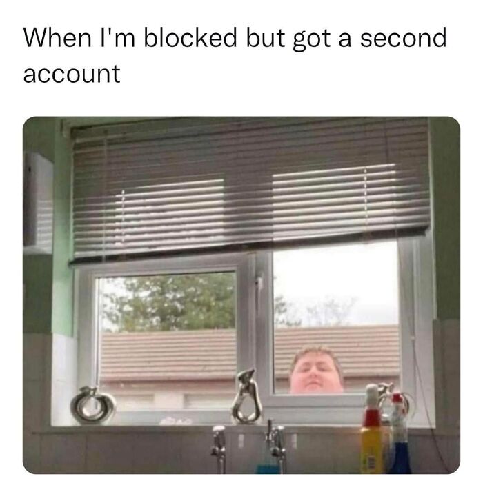 121 Wildly Funny Posts That’ll Totally Brighten Your Day