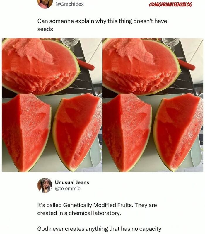 121 Wildly Funny Posts That’ll Totally Brighten Your Day