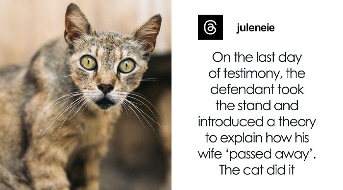 57 Courtroom Moments That Are So Wild They Should Be in a Movie
