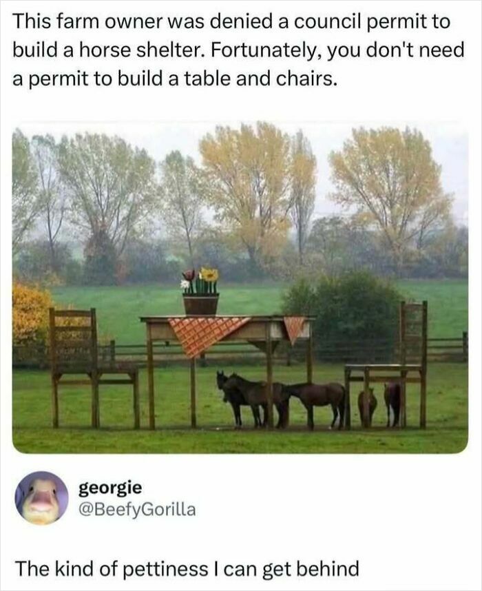 Let's Dive Into Some Hilarious Random Memes That'll Totally Brighten Your Day