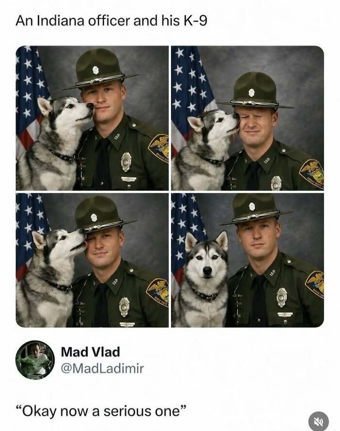 Let's Dive Into Some Hilarious Random Memes That'll Totally Brighten Your Day