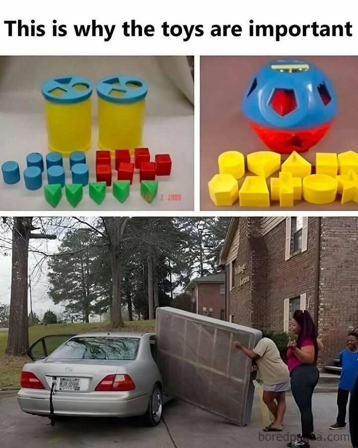 Let's Dive Into Some Hilarious Random Memes That'll Totally Brighten Your Day