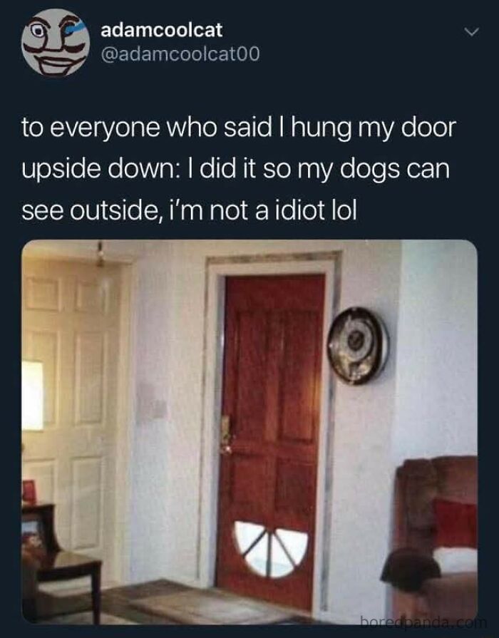 Let's Dive Into Some Hilarious Random Memes That'll Totally Brighten Your Day