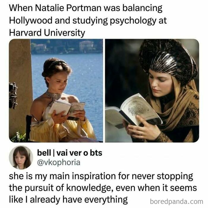 Let's Dive Into Some Hilarious Random Memes That'll Totally Brighten Your Day