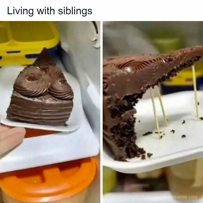 Let's Dive Into Some Hilarious Random Memes That'll Totally Brighten Your Day