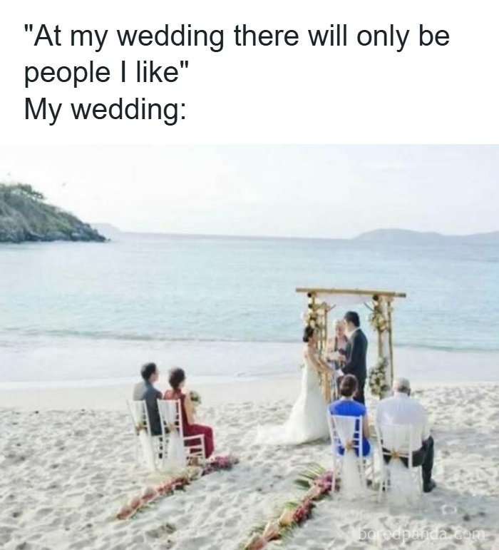 Let's Dive Into Some Hilarious Random Memes That'll Totally Brighten Your Day