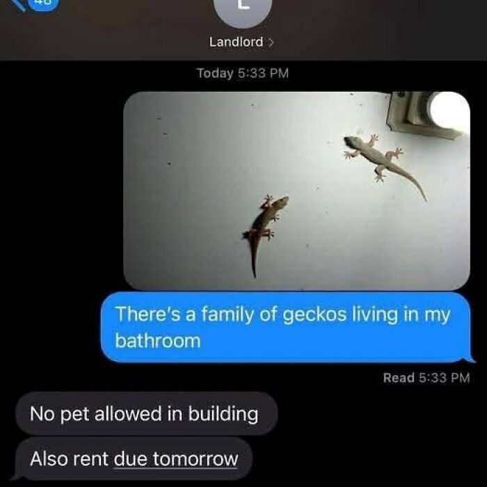 Let's Dive Into Some Hilarious Random Memes That'll Totally Brighten Your Day