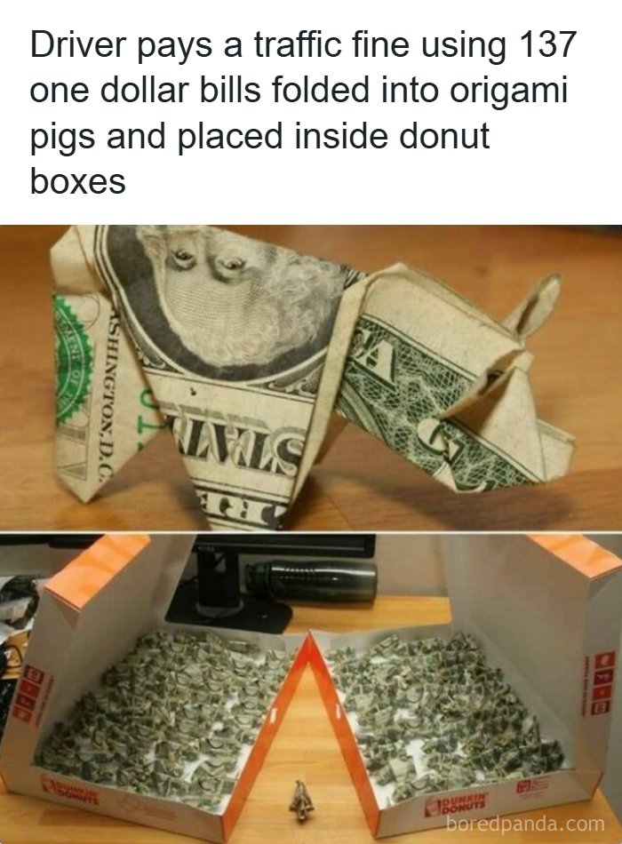 Let's Dive Into Some Hilarious Random Memes That'll Totally Brighten Your Day