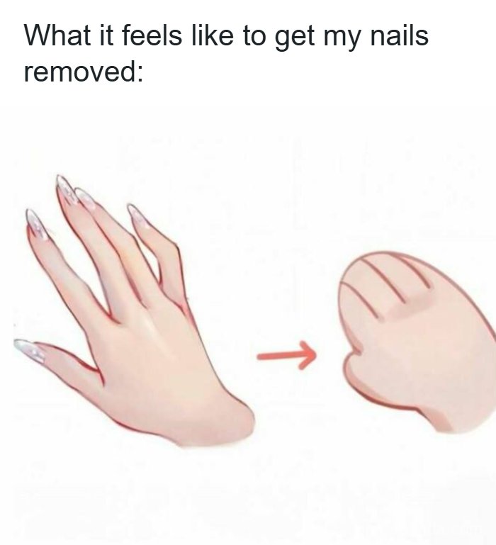 Let's Dive Into Some Hilarious Random Memes That'll Totally Brighten Your Day