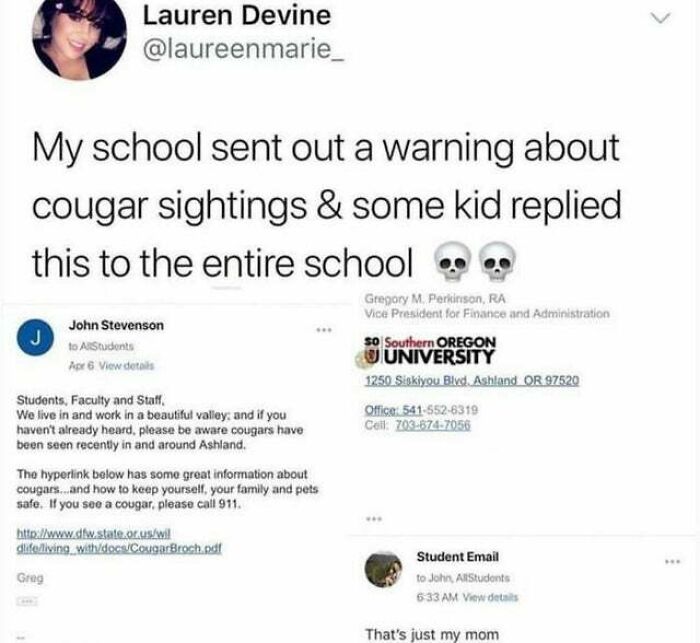 Absolute Chad Doing Absolute Chad Things