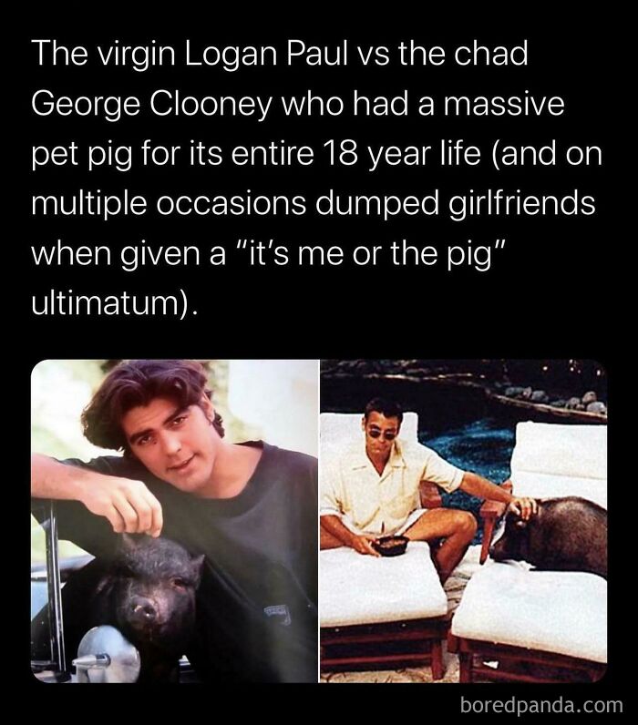 George Clooney: The Chad of Hollywood