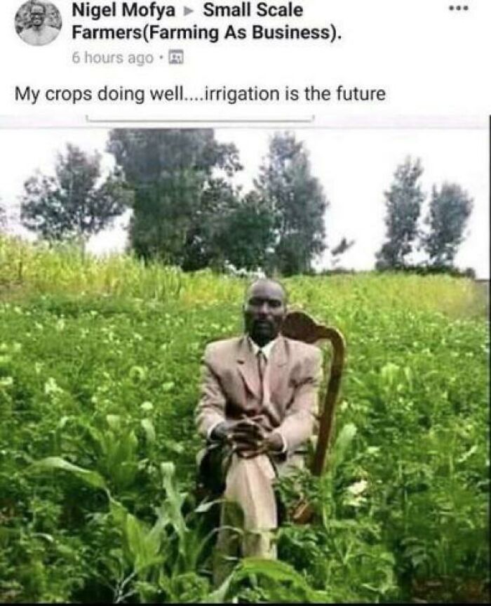 The Harvest Is Bountiful, and Chad’s Just Crushing It