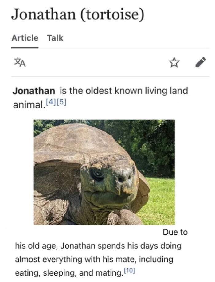 Jonathad Living His Best Golden Years