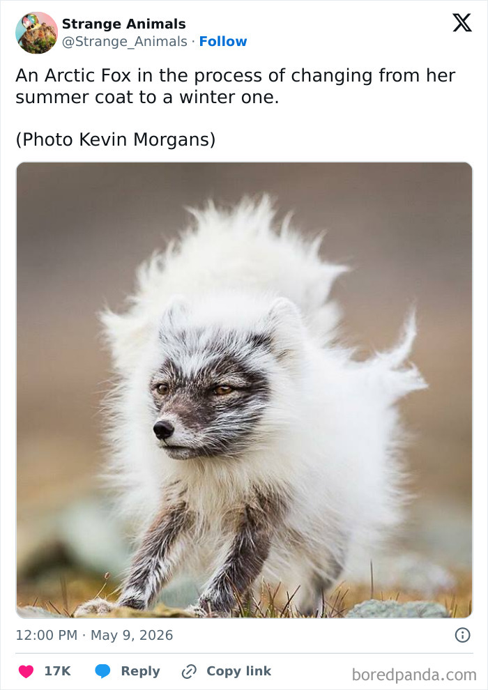 Nature's Weirdest and Coolest Creatures You Won't Believe Exist