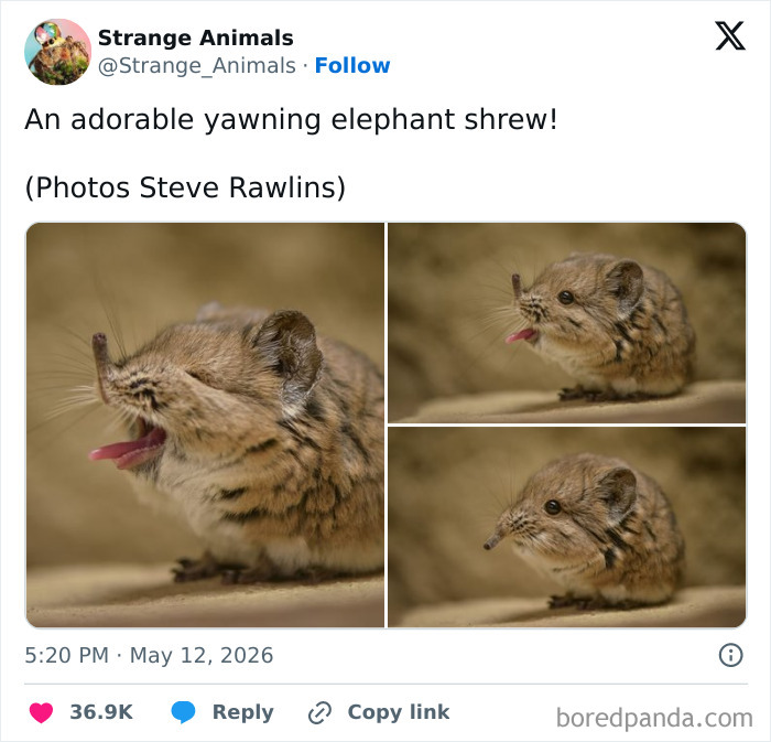 Nature's Weirdest and Coolest Creatures You Won't Believe Exist