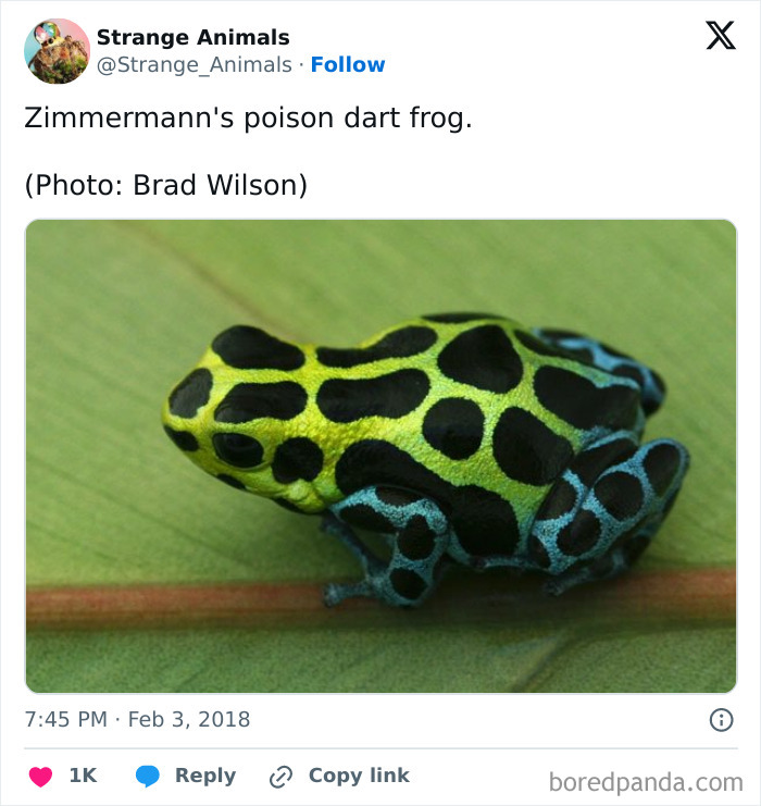 Nature's Weirdest and Coolest Creatures You Won't Believe Exist