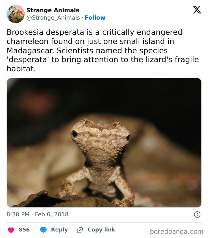 Nature's Weirdest and Coolest Creatures You Won't Believe Exist