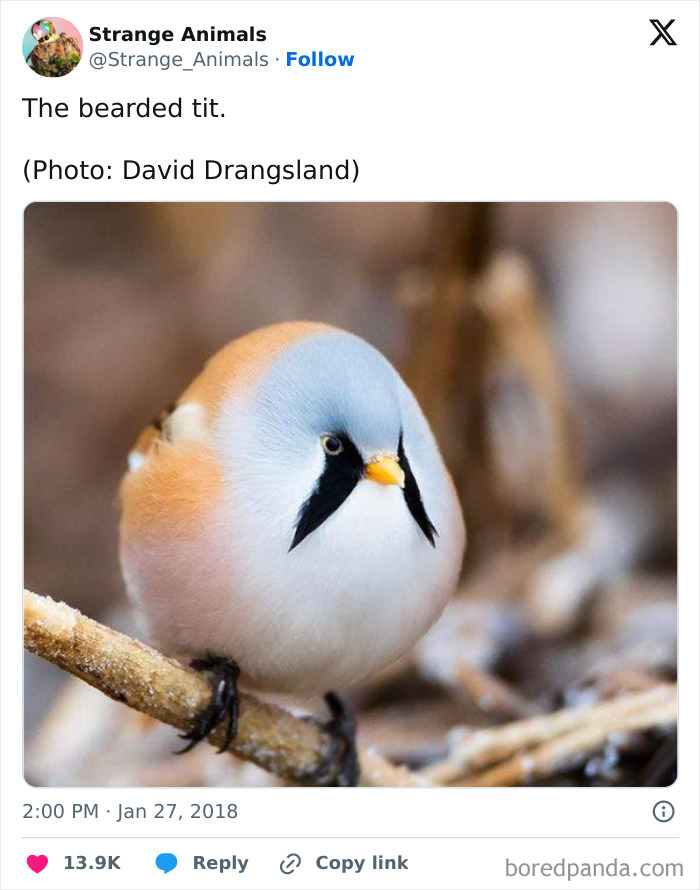 Nature's Weirdest and Coolest Creatures You Won't Believe Exist