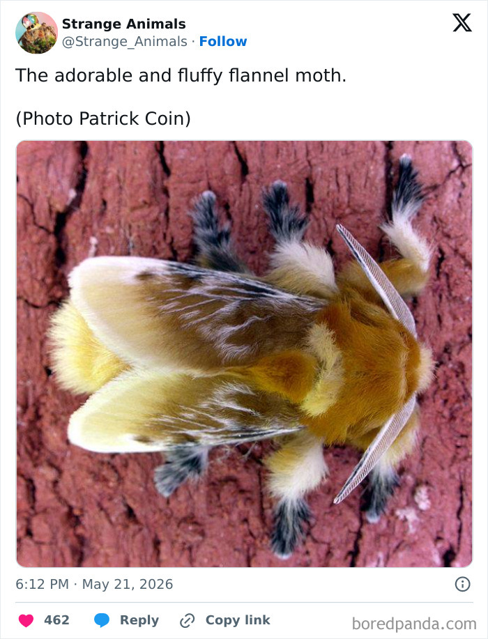 Nature's Weirdest and Coolest Creatures You Won't Believe Exist