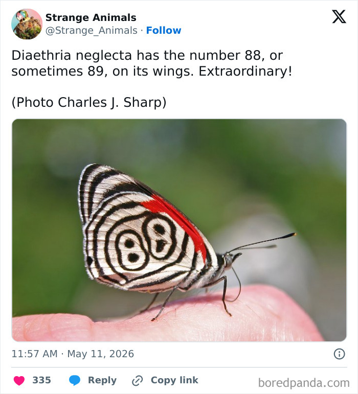 Nature's Weirdest and Coolest Creatures You Won't Believe Exist