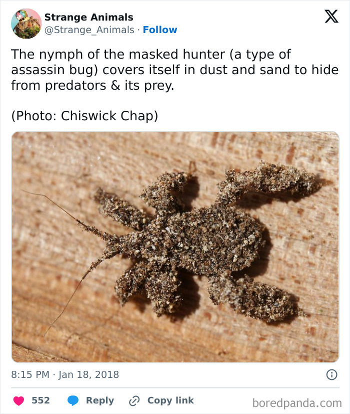 Nature's Weirdest and Coolest Creatures You Won't Believe Exist