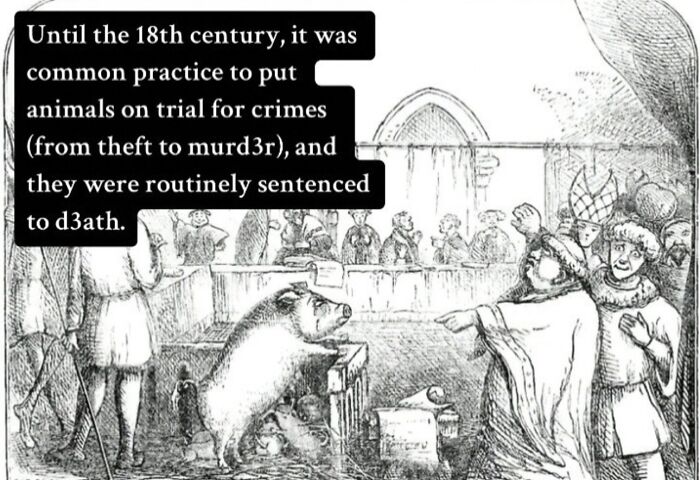 The Spookiest History Stuff You Didn’t Expect