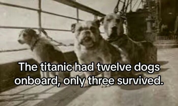 The Spookiest History Stuff You Didn’t Expect