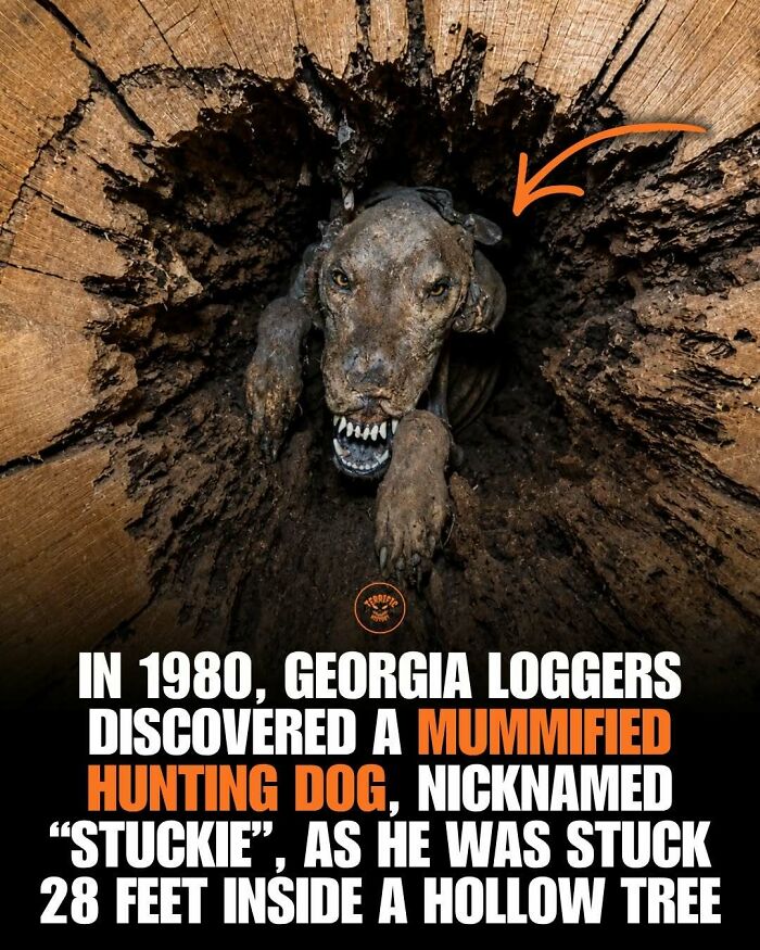 The Spookiest History Stuff You Didn’t Expect