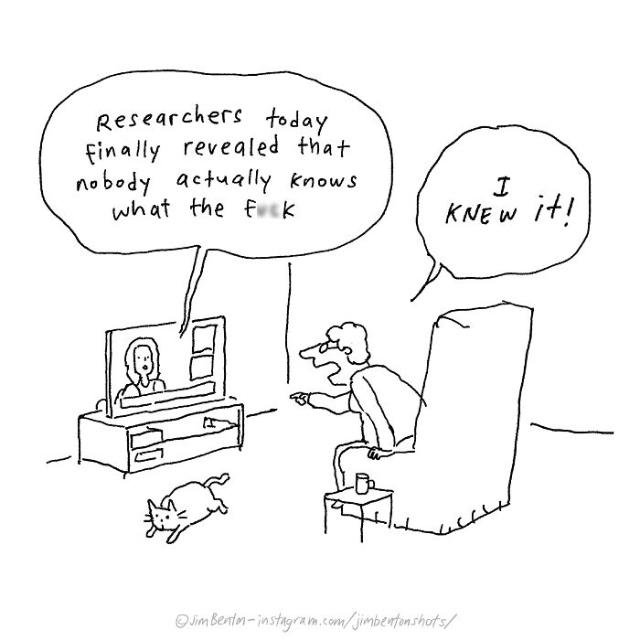 Wait, One Drawing Can Nail a Joke? Jim Benton Proves It with 40 Wild Cartoons
