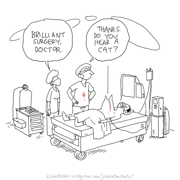Wait, One Drawing Can Nail a Joke? Jim Benton Proves It with 40 Wild Cartoons