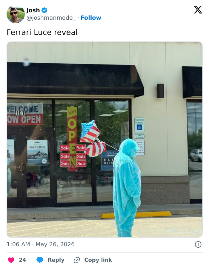 Sad Shop Mascot Energy