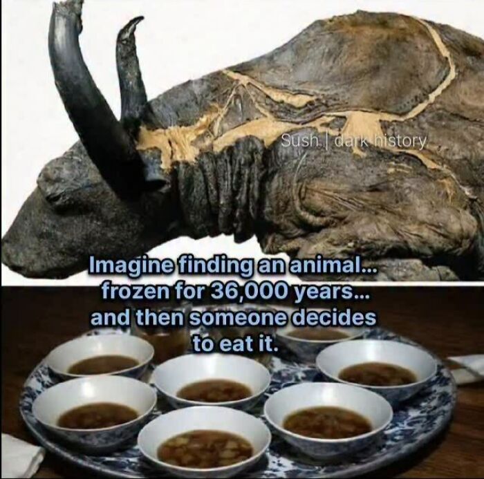 The 73 Wildest History Stories That Will Totally Mess With Your Head
