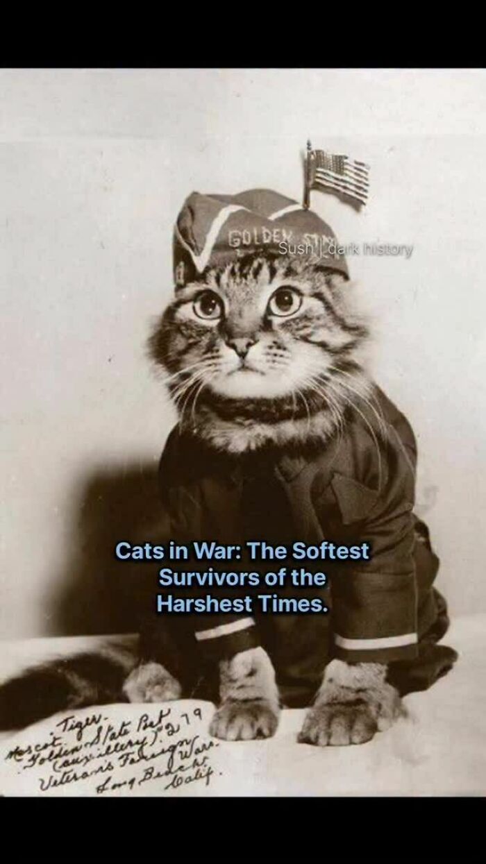 The 73 Wildest History Stories That Will Totally Mess With Your Head