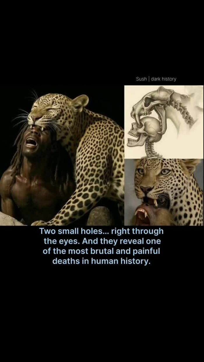The 73 Wildest History Stories That Will Totally Mess With Your Head