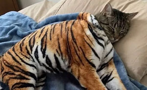 Wait, These Animal Pics Are Way Too Good To Miss (37 Fresh Shots)