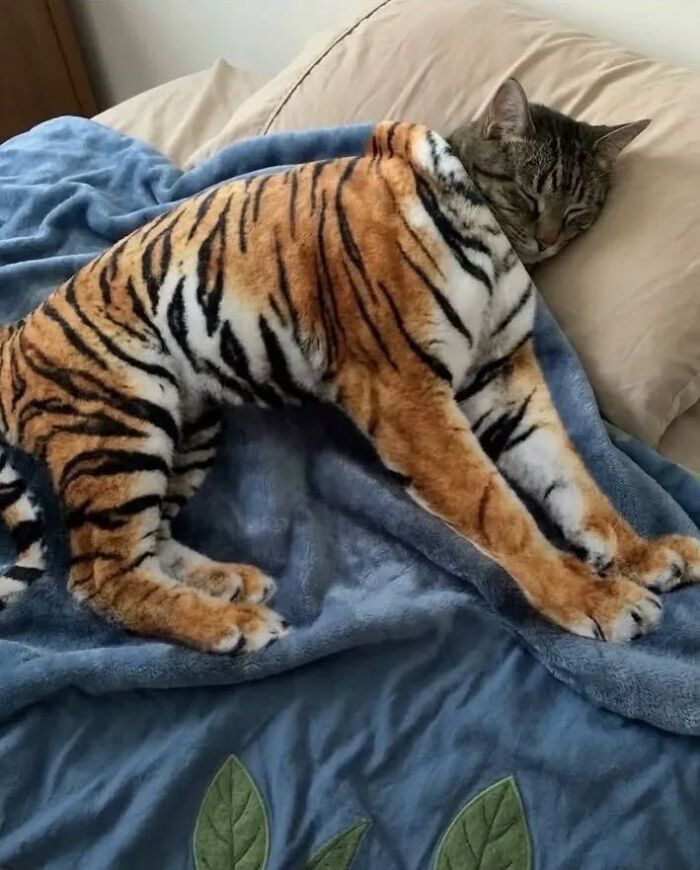 Wait, These Animal Pics Are Way Too Good To Miss (37 Fresh Shots)